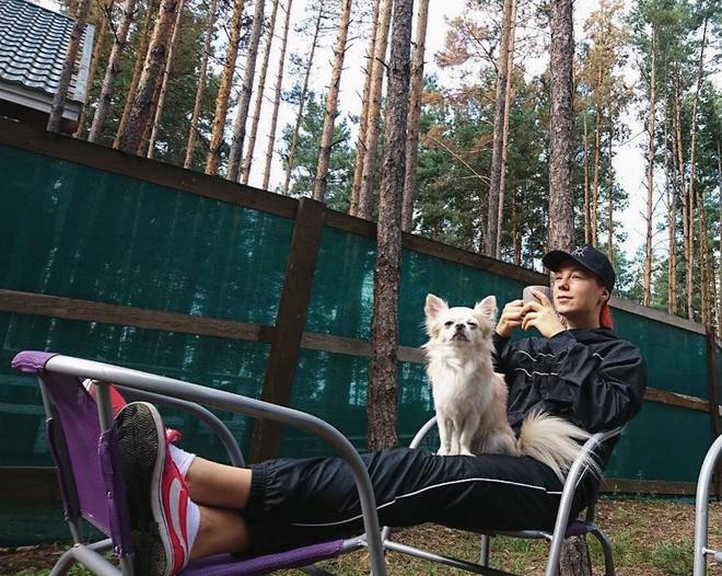 звездные питомцы