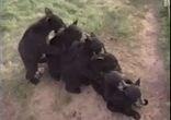 Все на подсосе)