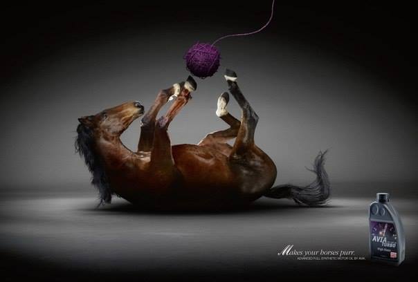 Креативная реклама с мурлыкающими лошадками