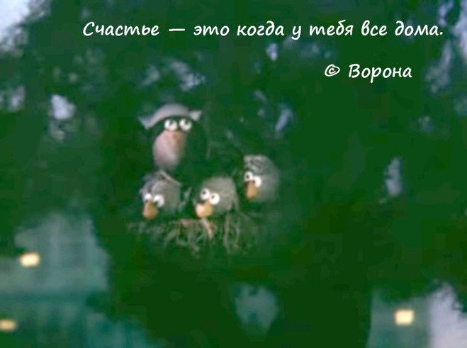 Крылатые фразы из мультиков