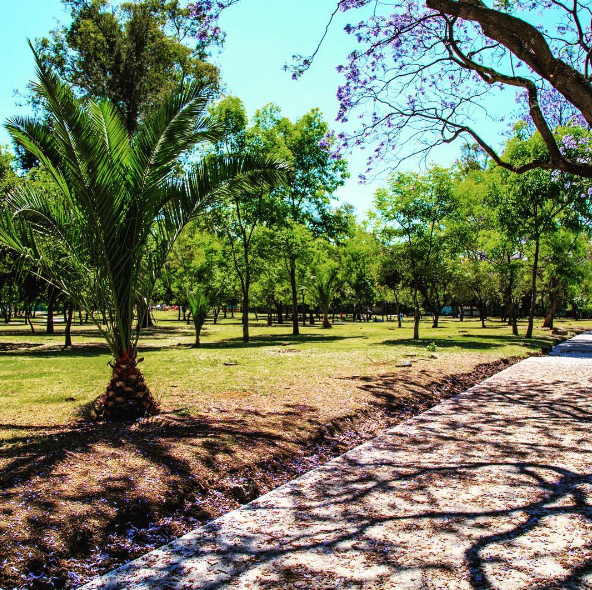 Парк Чапультепек, Мехіко, Мексика