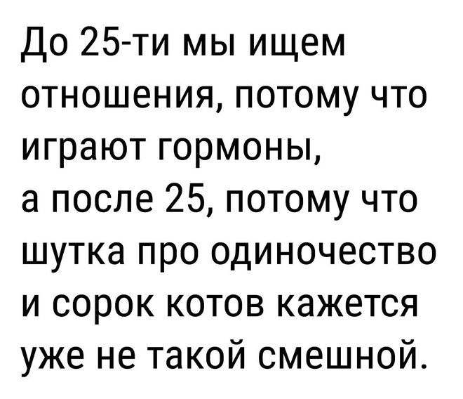 Коты и отношения