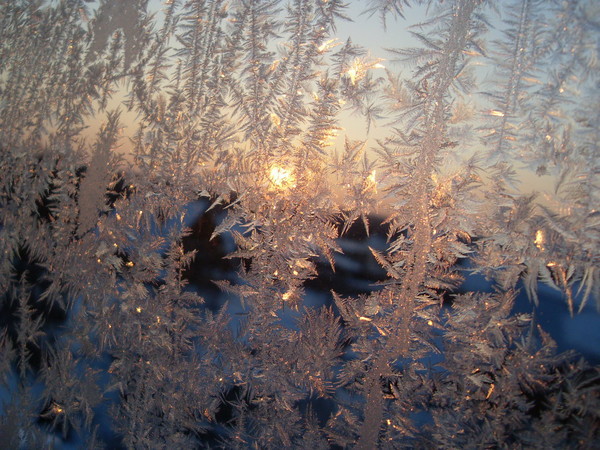 Зимние узоры на окнах