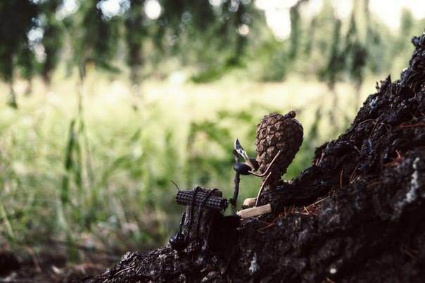 #ПутешествиеСосновойШишки часть 4