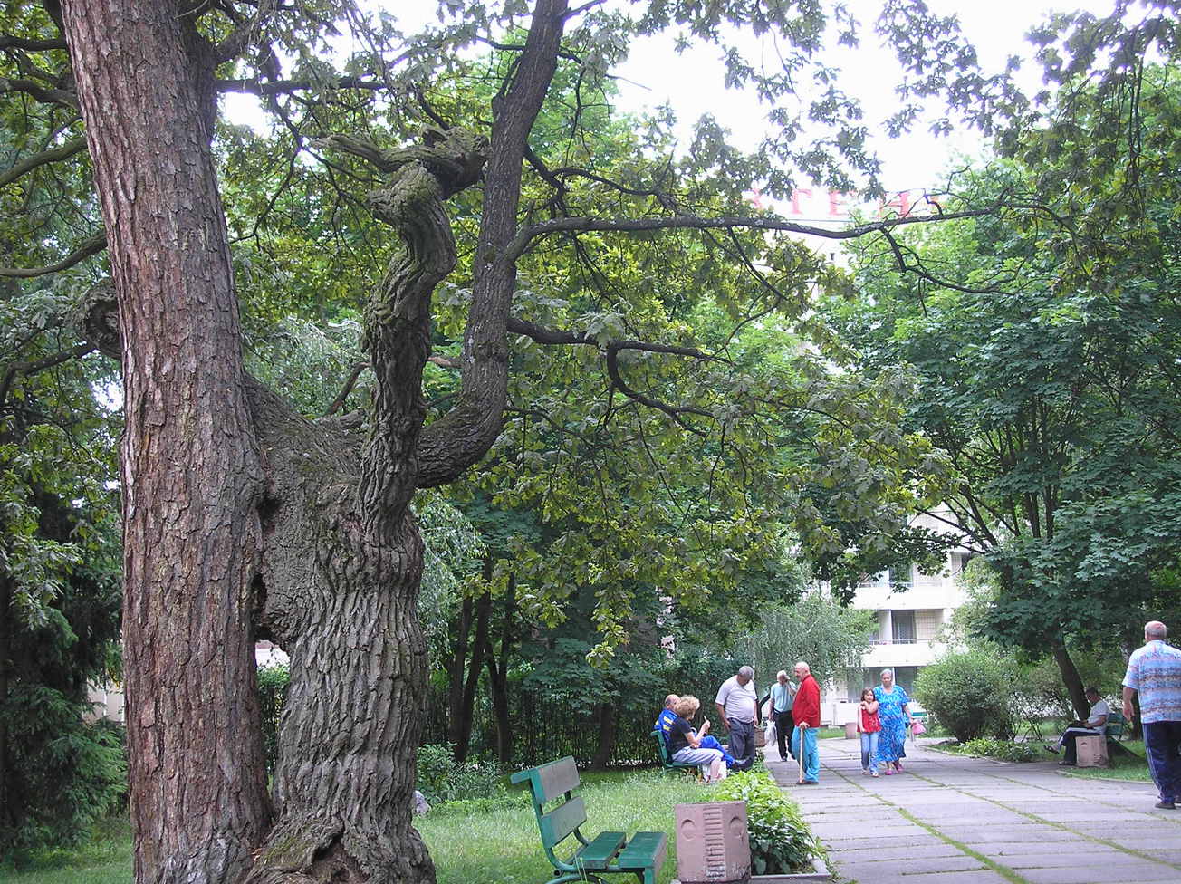 Санаторий Жовтень