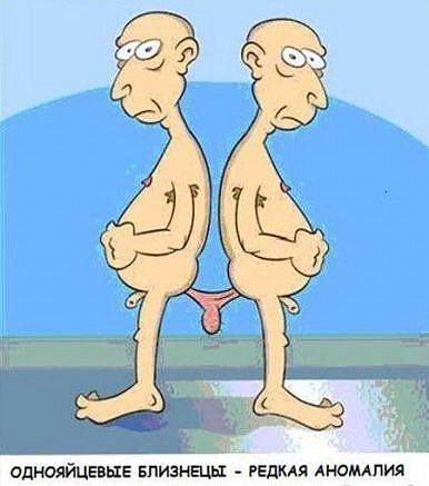 Смешные карикатуры