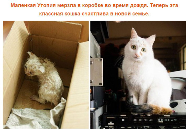 Делать добро легко