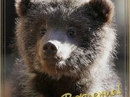 Мимимишного дня рождения