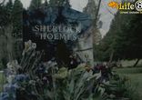Птица залетела в окно - примета хорошая или плохая?