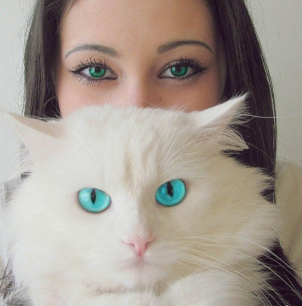 Какие глаза.. у кота