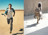 Des Hommes et des Chatons Des Hommes et des Chatons