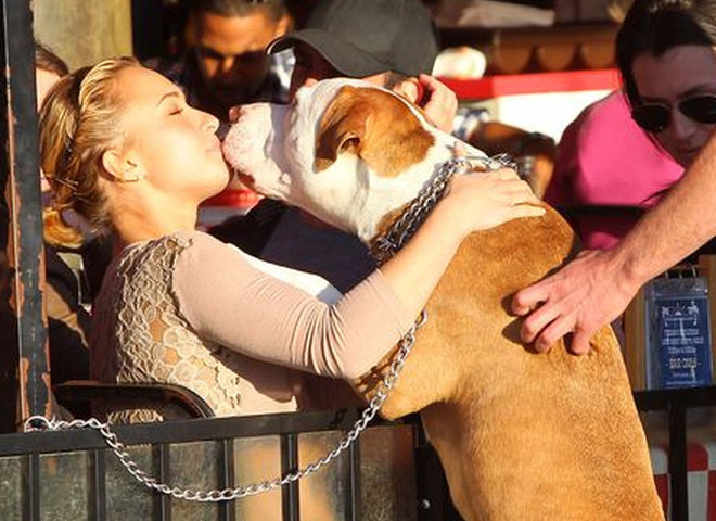 Хейден Панеттьер