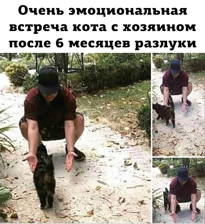 После долгой разлуки