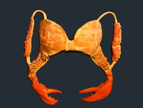 ТОП неординарных бюстов 