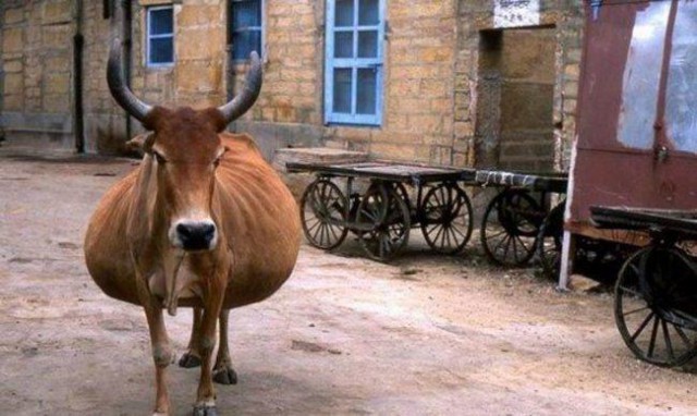 В ожидании чуда