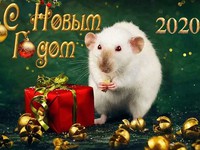 С Новым годом крысы 2020