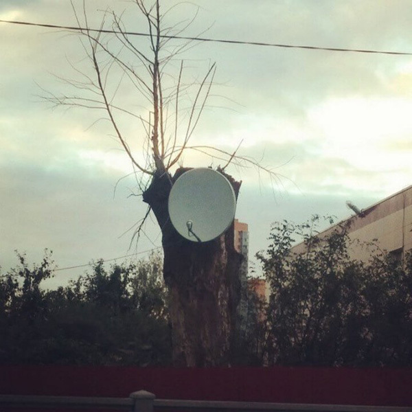 Всё нормально! Это Россия