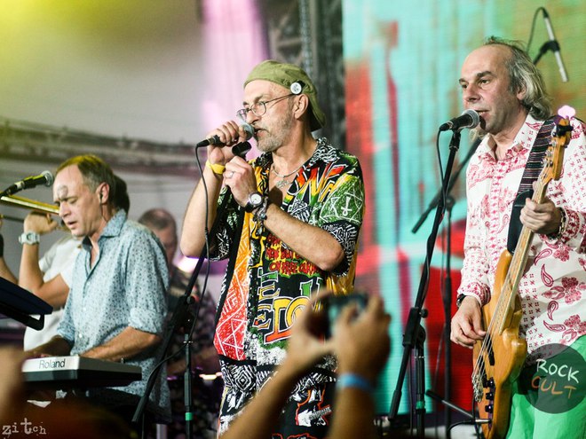 Брати Гадюкіни