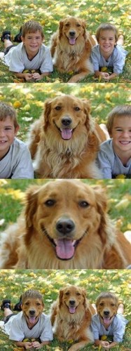 Собаки улыбаки