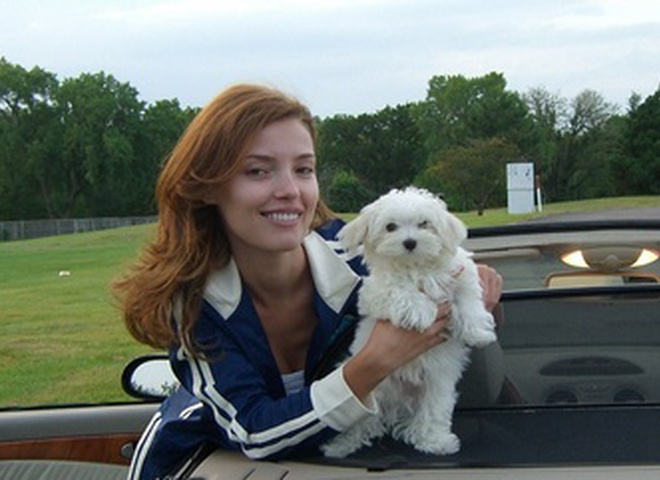 Новый любимчик семьи - болонка Мишаня