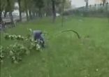 Бедные деревья  и кусты