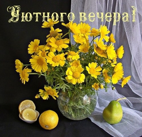 Приятного вечера!