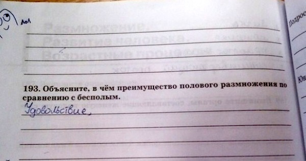 Шедевры из школьных тетрадей