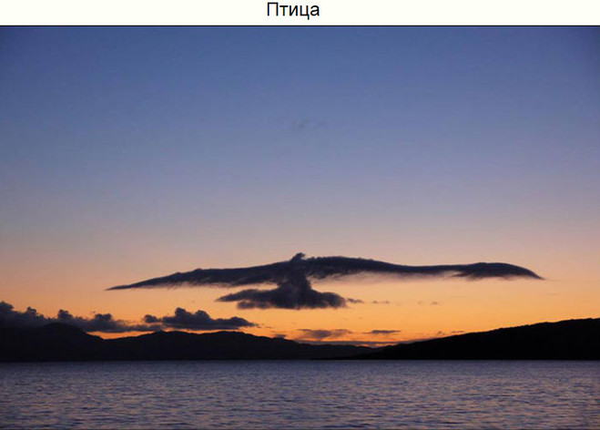 Показалось