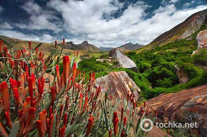 Мадагаскар