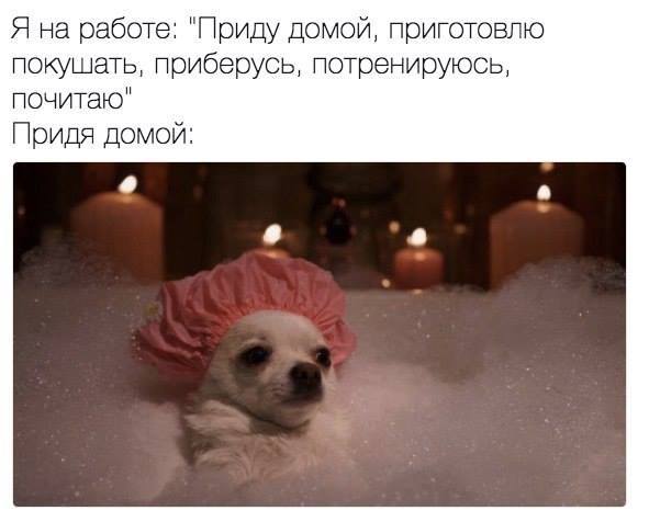 Дом, милый дом