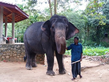 Шри-Ланка открыла туристический сезон