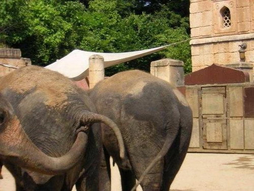 Подборка фотоприколов