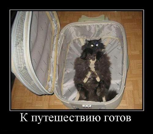 Прикольные демотиваторы