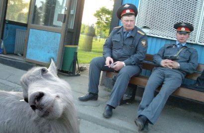 Приколы))