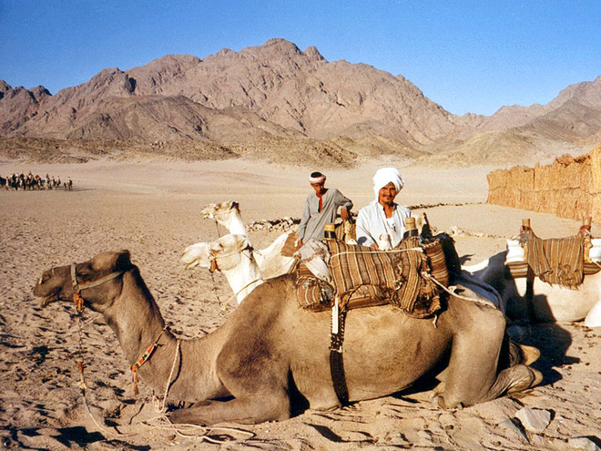 Попить чая с бедуинами в пустыне