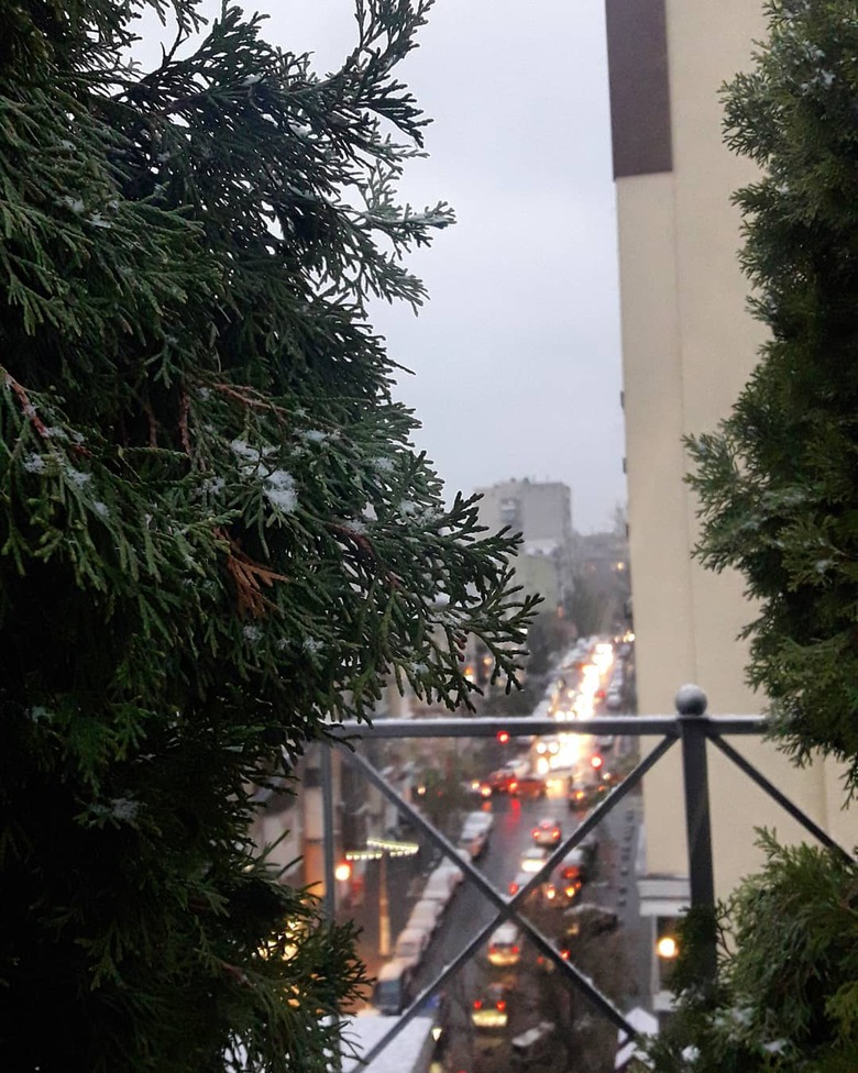 сніг у Києві