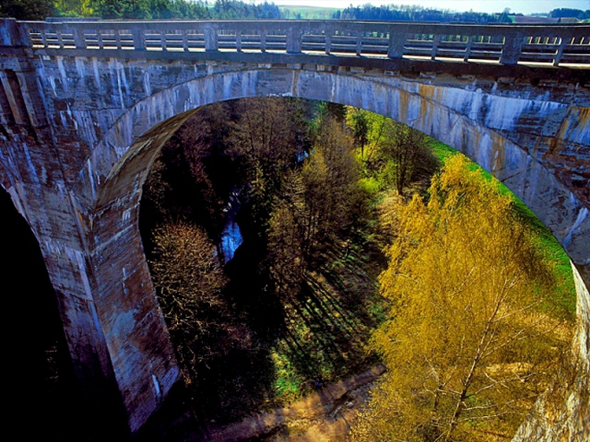 Клематис мазури кратер лейк фото