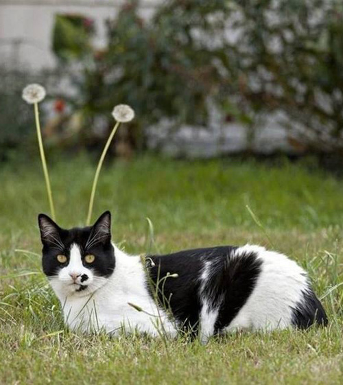 Ах, нет...показалось