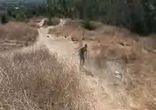motobikers