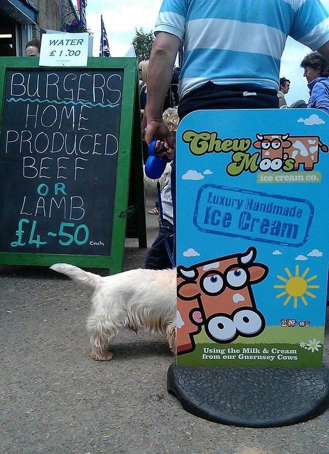 Удачный кадр