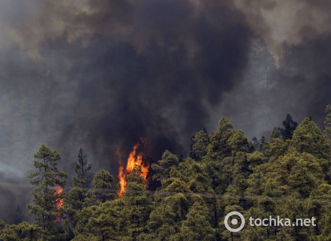 На Канарах горит лес