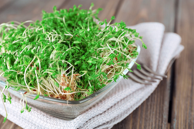 Рецепты салатов из зелени: убедись, что это вкусно