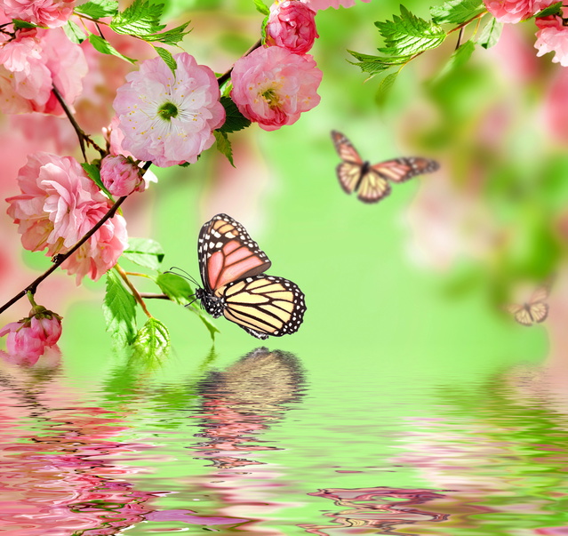 Весна и бабочки