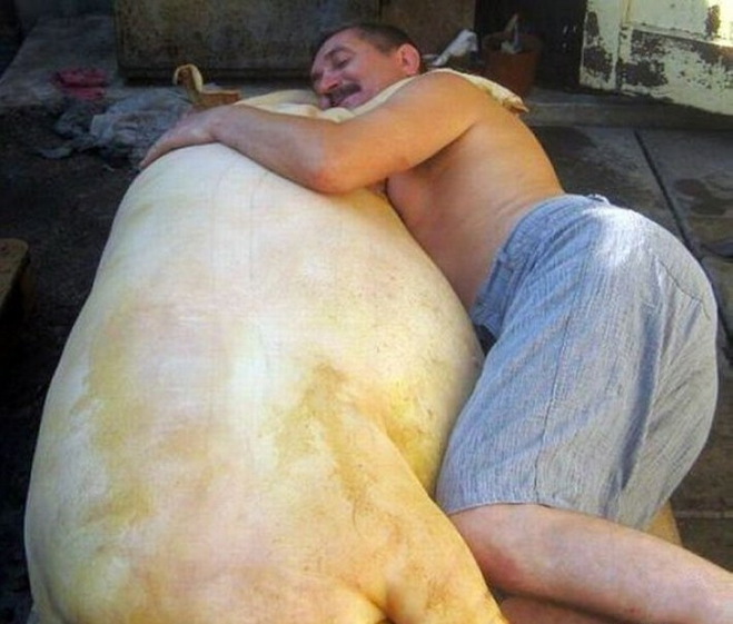 Это любовь!