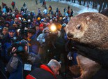 2 лютого День Бабака