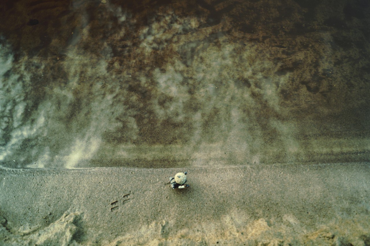 #ПутешествиеСосновойШишки часть 8