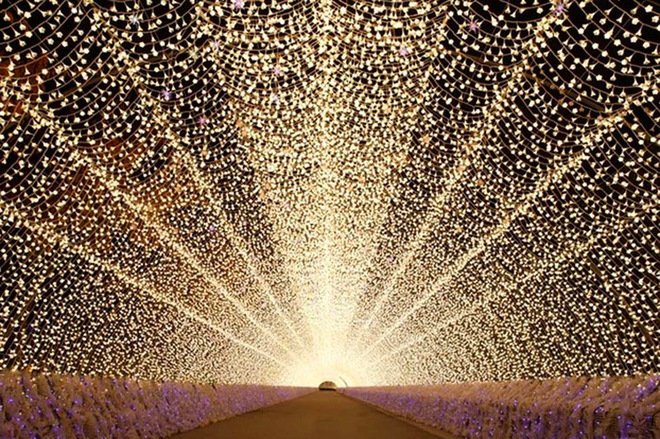 Фестивали февраля: цветы из льда в Японии