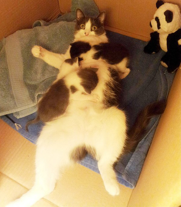 Уставшие мамочки