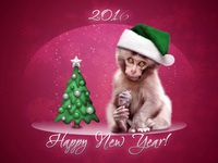 Новый год обезьяны 2016