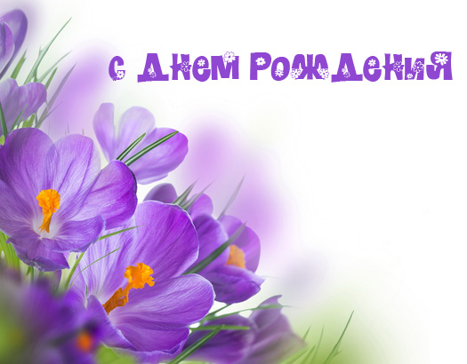 С днем рождения